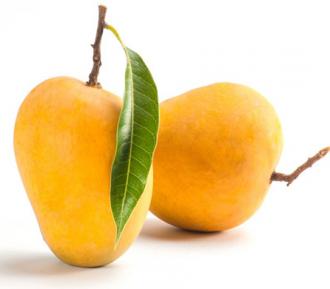 20 BRIX super sweet mango